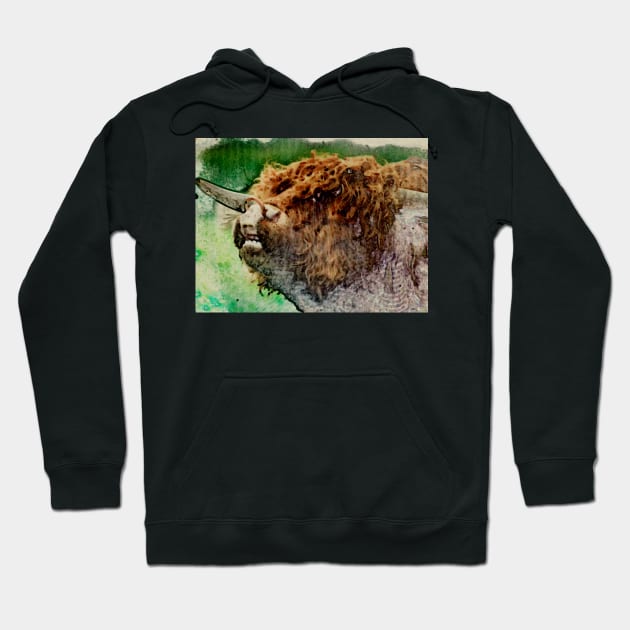 West Highland Bull 2 Hoodie by bywhacky